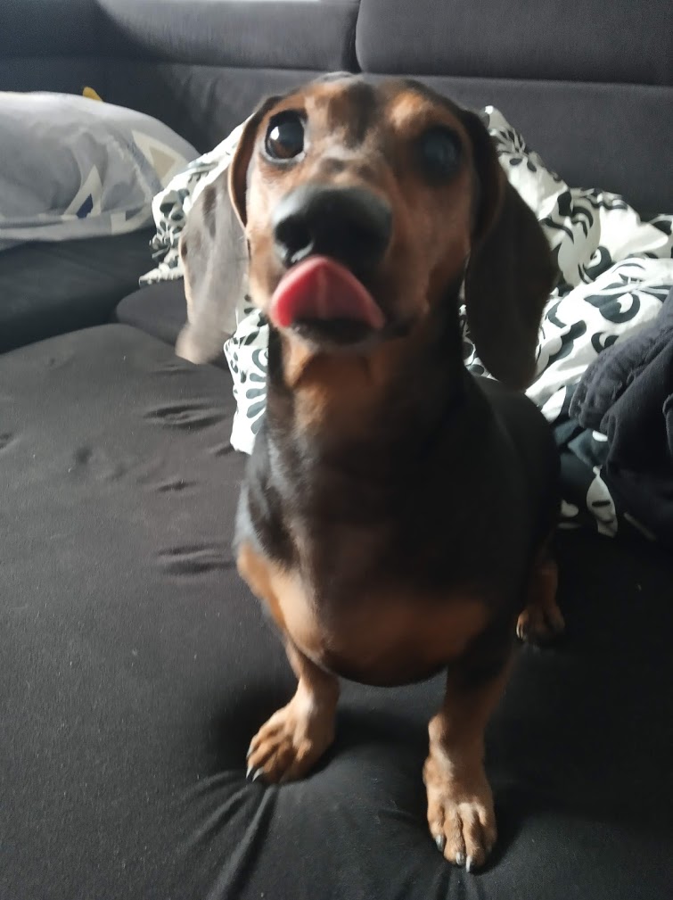 Filipek Cepson Hajda